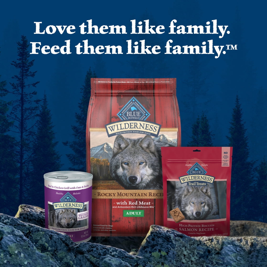 Blue Buffalo Wilderness Trail Toppers Wet Dog Food, Chunky Beef Bites in Hearty Gravy