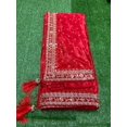 thumbnail image 4 of Enchanting Evening: Couture Party Wear Saree ,02, Clearance, 4 of 9