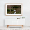 thumbnail image 5 of Common Egret in the Rain - York Pennsylvania Photography Wildlife Bird Nature Water Lake Scenic Wilderness Oak Framed Wall Art Print 16 x 24 inches, 5 of 6