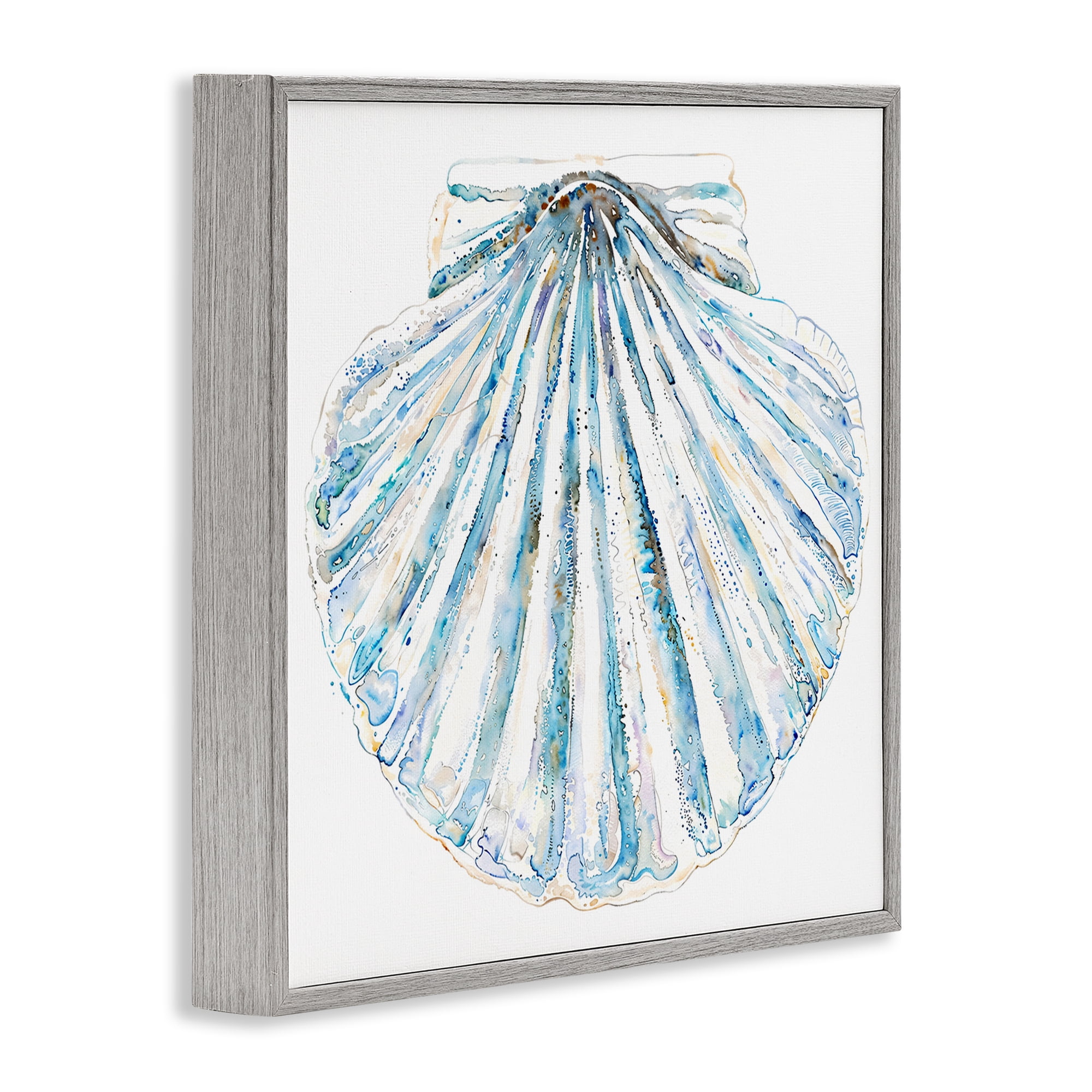 Stupell Industries Clam Shell on White Coastal Painting Gray Framed Art Print Wall Art, 12 x 12
