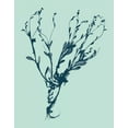thumbnail image 2 of Vision Studio 20x24 Black Ornate Wood Framed with Double Matting Museum Art Print Titled - Indigo and Mint Botanical Study VI, 2 of 4