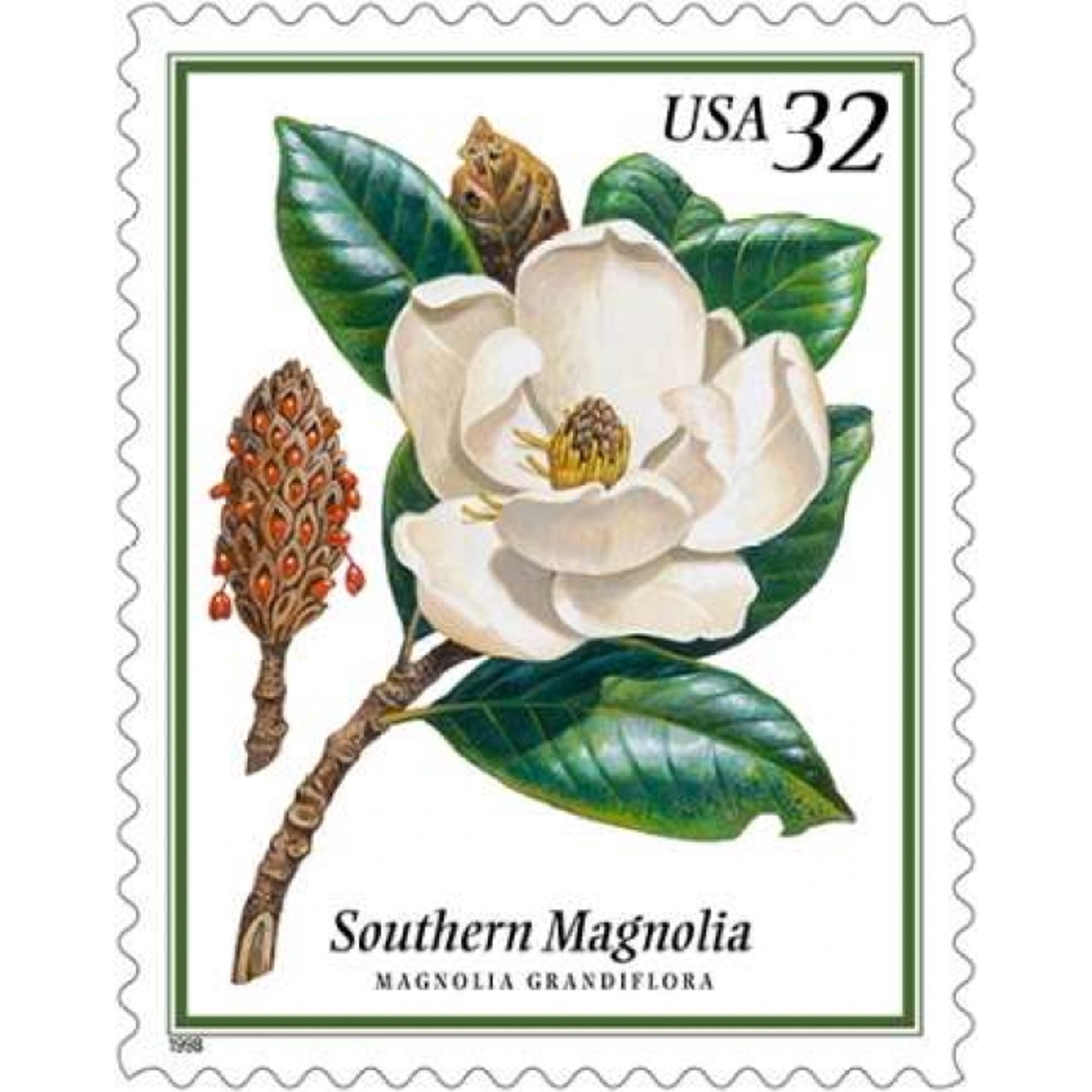 Southern Magnolia Canvas Art - US POSTAL SERVICE (24 x 30)