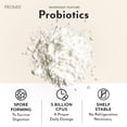 thumbnail image 4 of Promix Debloat Prebiotics and Probiotics Immune Support Supplement for Digestive Health, Nausea Relief, Gut Repair - Variety Pack - 12 Count, 4 of 5