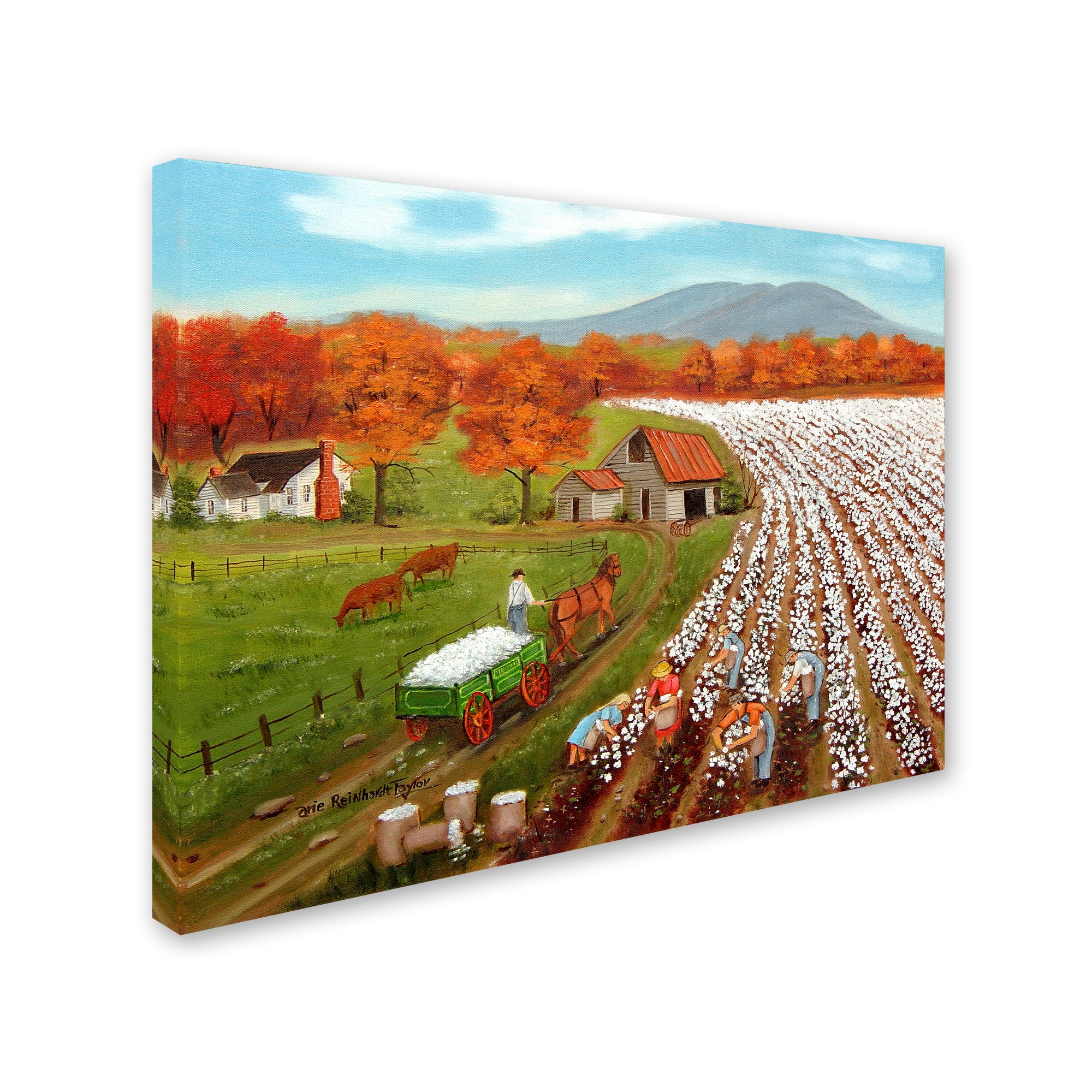 Trademark Fine Art 'Cotton Fields And Bakers Mountain' Canvas Art by Arie Reinhardt Taylor