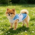 thumbnail image 1 of BESTYASH Camiseta Para Perro Transpirable Estilo Fútbol Argentina Azul Y Sin, 1 of 6