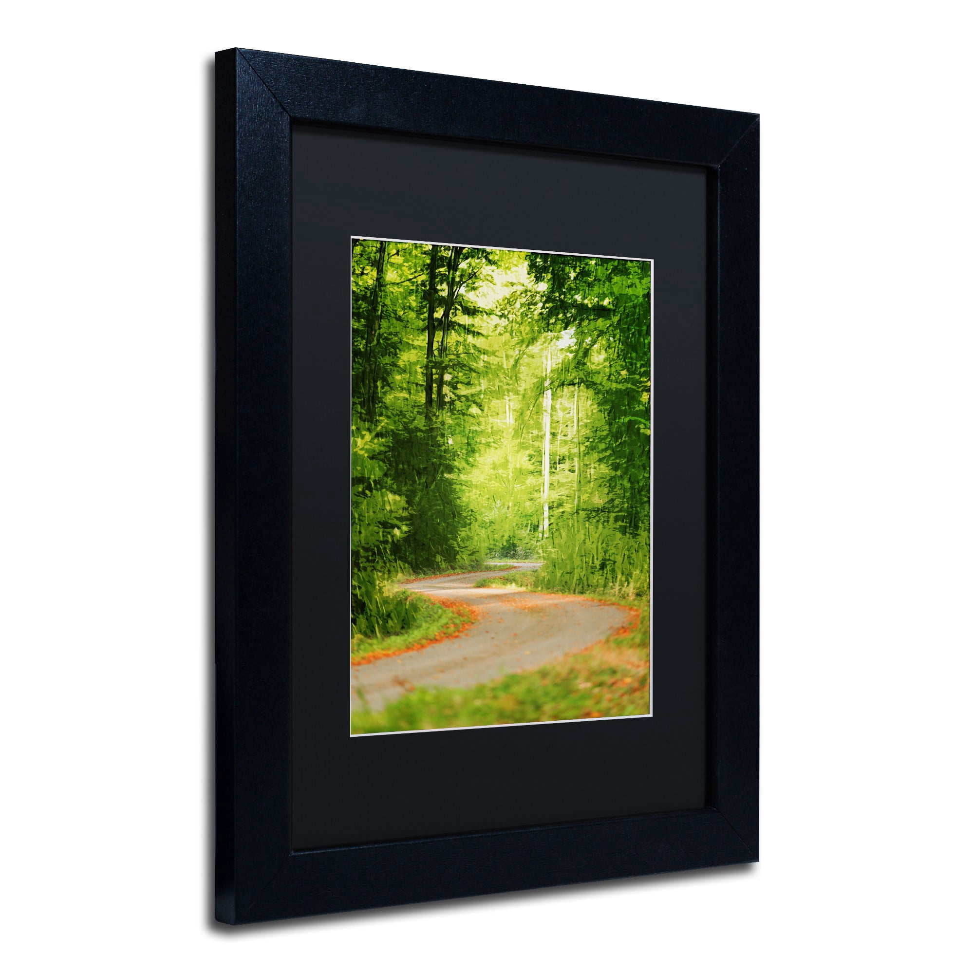 Trademark Fine Art "S Road" Canvas Art by Philippe Sainte-Laudy Black Matte, Black Frame