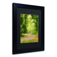 thumbnail image 3 of Trademark Fine Art "S Road" Canvas Art by Philippe Sainte-Laudy Black Matte, Black Frame, 3 of 5