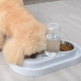 thumbnail image 3 of Bowl Pet Bol pour Animal Créatif en Acier Inoxydable, Distributeur d'Eau pour Chien, 3 of 10