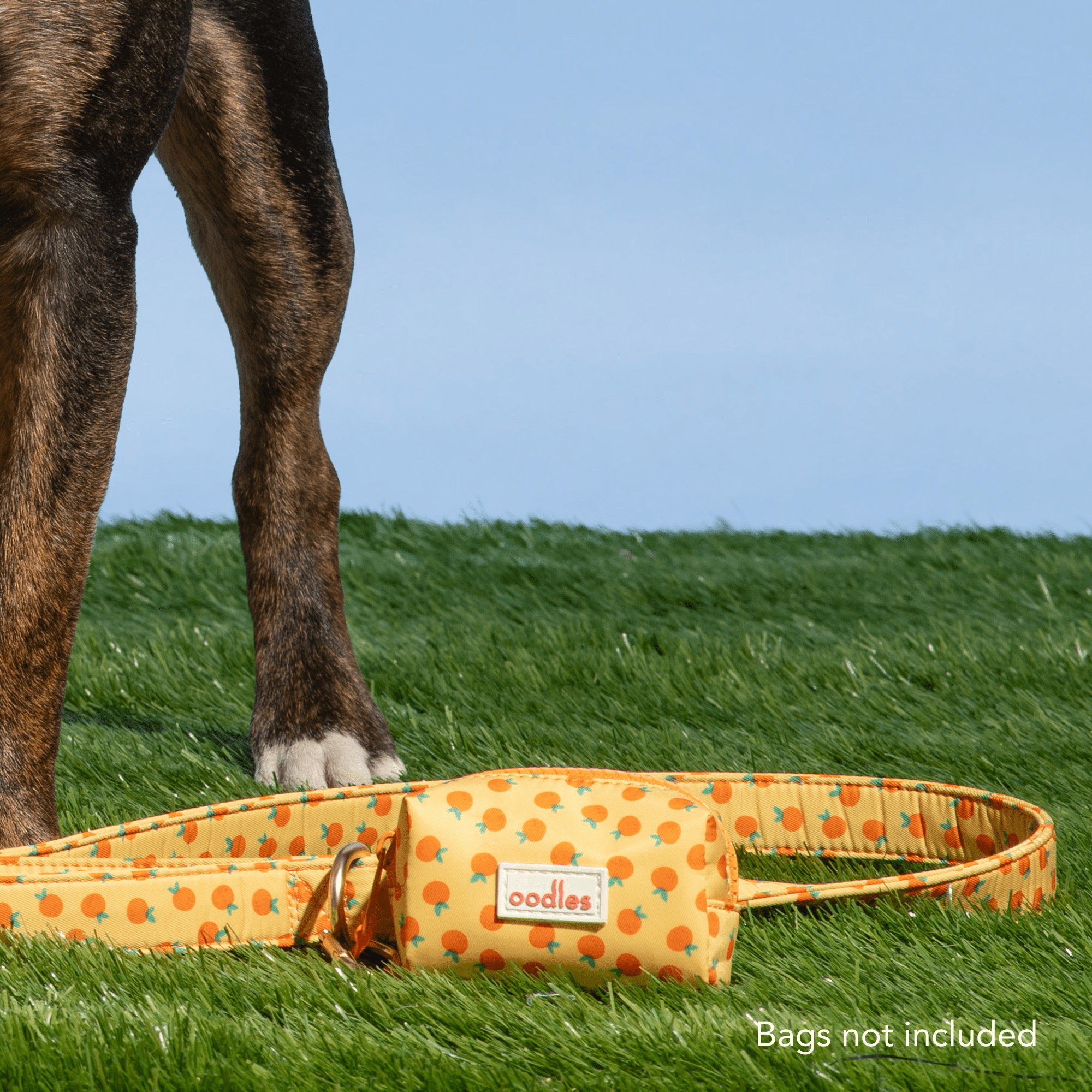 Oodles Sweet Citrus Dog Walking 3 Piece Set, Large