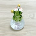 thumbnail image 1 of Mashaouyo Desktop Decor Cactus Car Center Console Decoration Transparent Resin Crafts Computer Home Decoration, 1 of 3