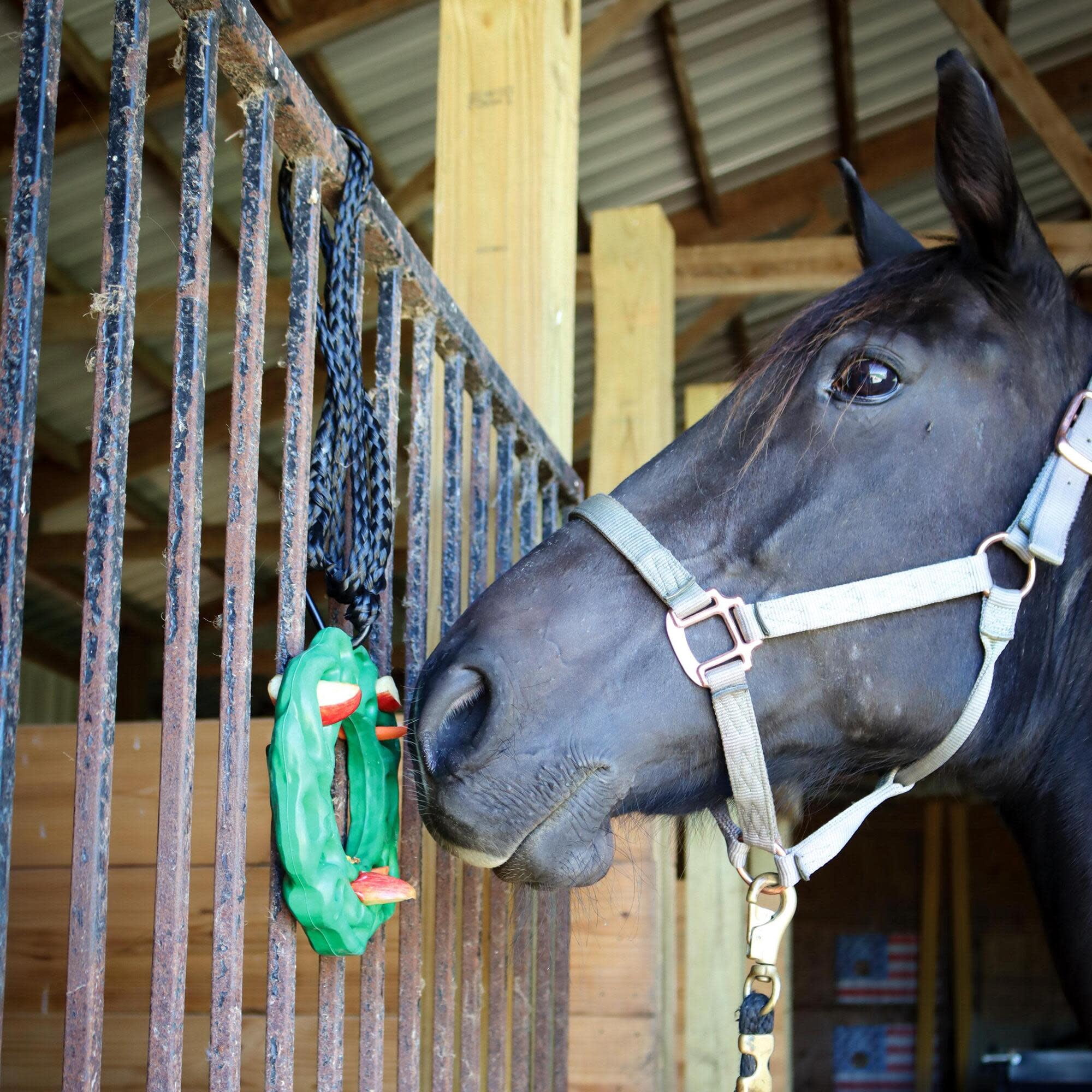 PetKORE: Luna Ring - Horse-Equine - 9" Green, Rubber Treat Puzzle Toy with Hanging Kit, Carabiner & Rope, Fun Mental Stimulation & Stress Relief Play