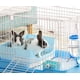 thumbnail image 5 of Caja de arena grande para conejos, inodoro de esquina con cajón, caja de arena grande para hámster adulto, conejillo de indias, hurón, galesaurio, conejo y otros animales TUNC Sencillez, 5 of 5