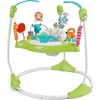 Baby Bouncer Fitness Fun Folding Jumperoo Activity Center with Lights Music and Gym Themed Toys, Folds For Storage