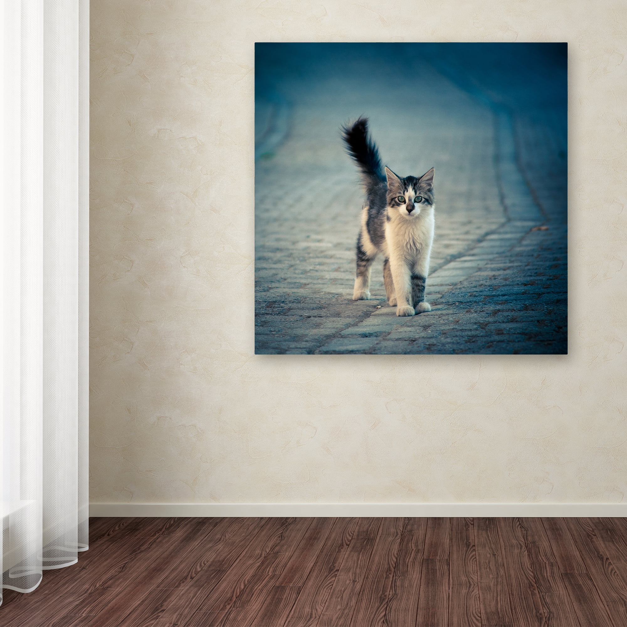 Trademark Fine Art 'Little One' Canvas Art by Dejan Ilijic