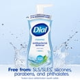thumbnail image 5 of Dial Antibacterial Defense Spring Water Scent Foaming Hand Soap, 7.5 fl oz, 5 of 12