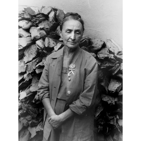 Georgia O'Keeffe History (24 x 36)