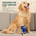 thumbnail image 6 of Kuoser Dog Front Leg Brace, Adjustable Carpal Support Wrap for Canine Joint, Wound Recovery & Anti-Licking Sleeve, Blue, XXS/XS, 6 of 8