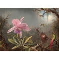 thumbnail image 2 of Heade, Martin Johnson 18x15 Gold Ornate Wood Framed with Double Matting Museum Art Print Titled - Cattleya orchid and three hummingbirds, 2 of 4