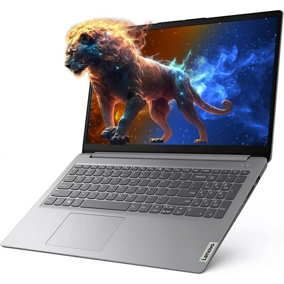 Lenovo IdeaPad 1i, 15.6" FHD Anti-glare, Intel Core i5, Wi-Fi 6, Dolby Audio, HD Camera with Privacy Shutter, Long Battery Life, Windows 11 Pro (24GB RAM | 1TB SSD)