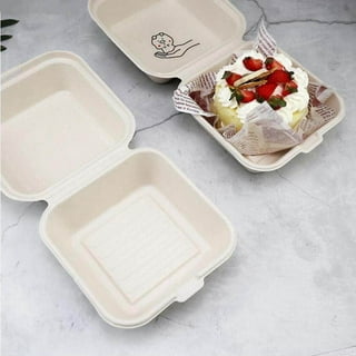 Plastic Containers & Food Boxes