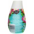 thumbnail image 3 of Renuzit Aroma Adjustables Long Last Air Freshener, After The Rain, 7 Ounces (12 Pack) (Bundle), 3 of 4