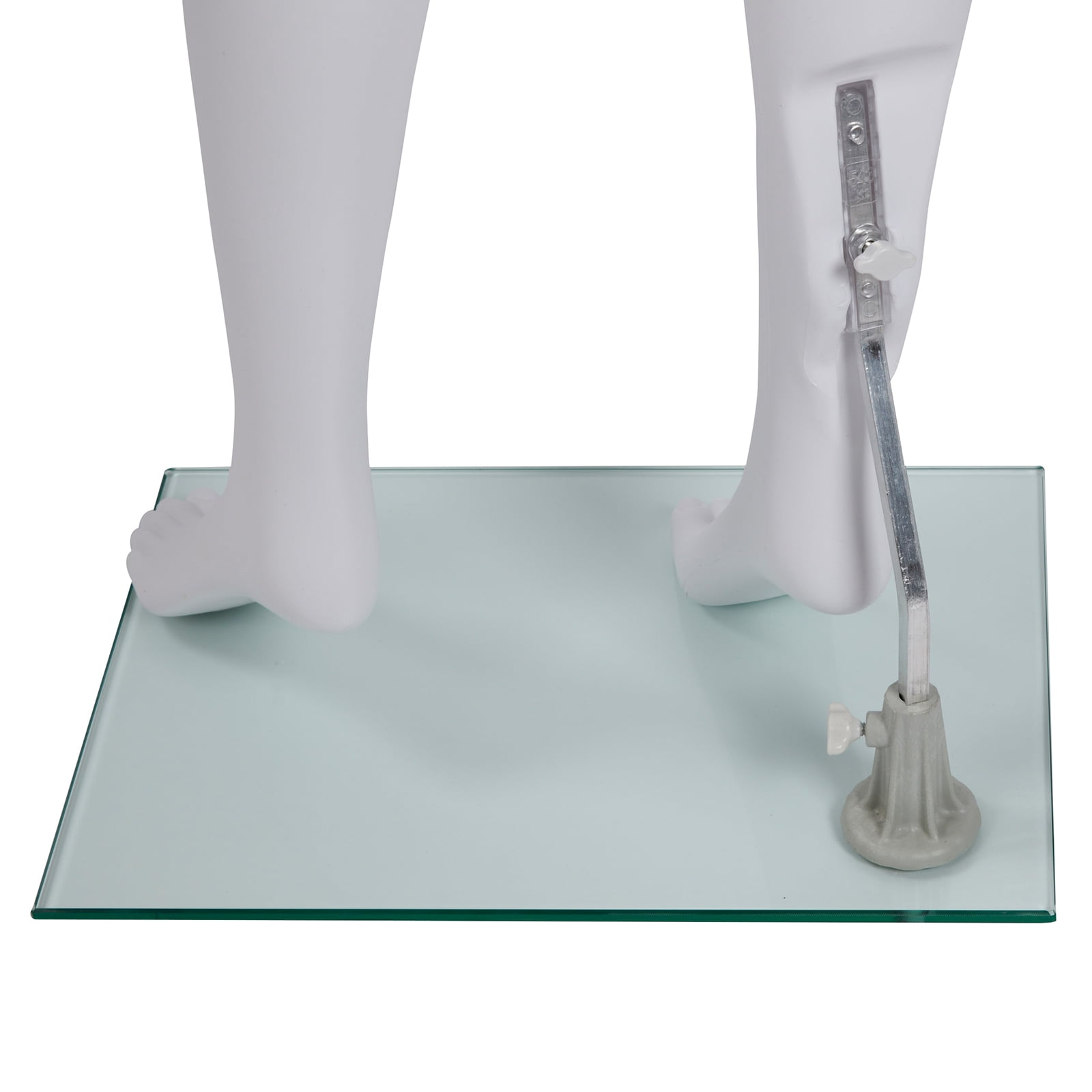 SSWBasics Female Headless White Plastic Mannequin With Straight Arms - Height 5'4" With