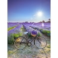 thumbnail image 2 of Frank, Assaf 19x24 Gold Ornate Wood Framed with Double Matting Museum Art Print Titled - Bicycle with flowers in a Lavender field, 2 of 4