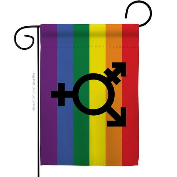 Americana Home & Garden G149673-BO Transgender Pride Support 13 x 18.5 in. Double-Sided Decorative Horizontal Garden Flags for House Decoration Banner Yard Gift