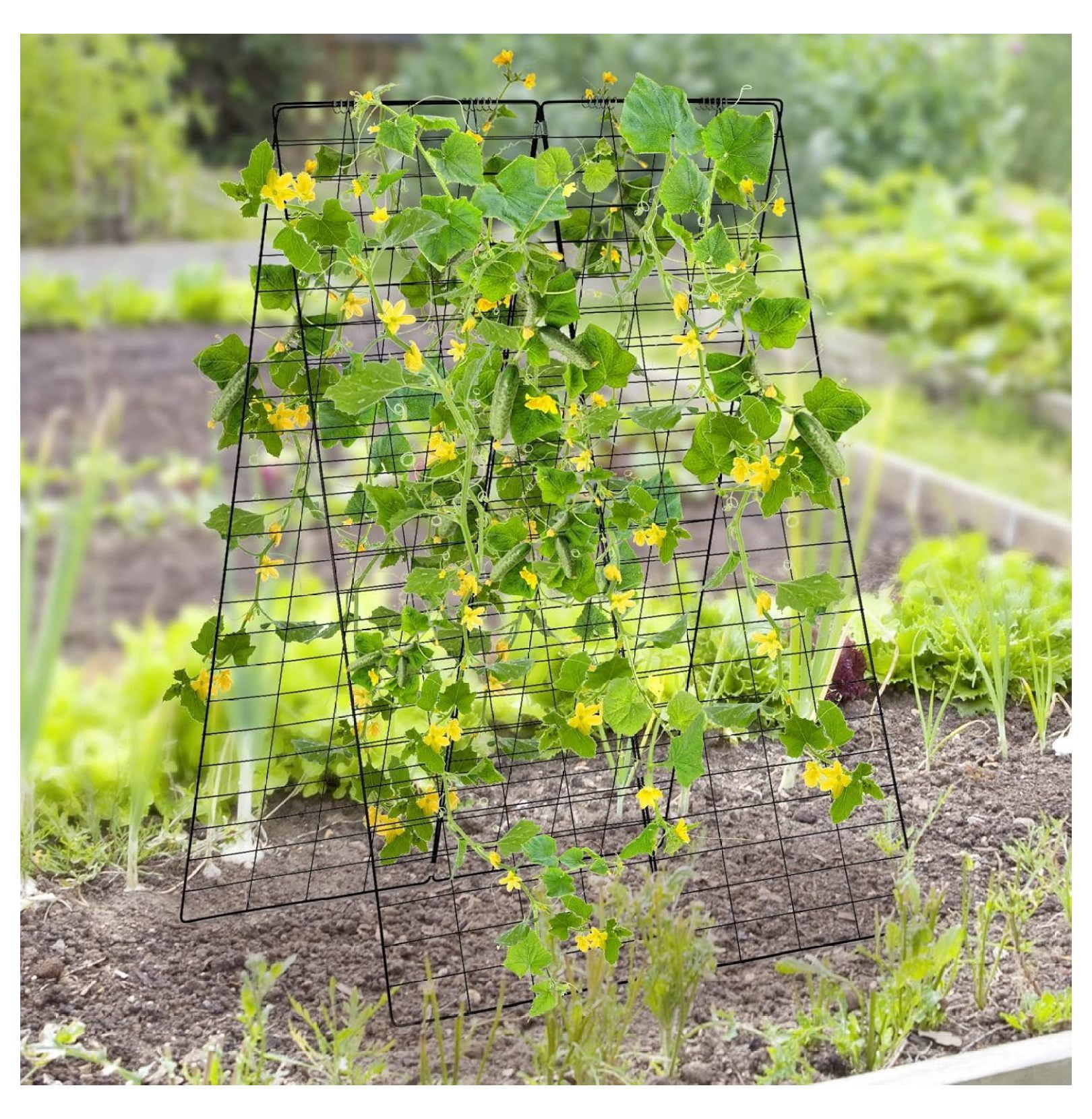 2-Pack Garden Cucumber Trellis, 46 x 34 inch Plant Support with Tie, Spiral Connectors, Cable Ties, Ground Stakes and Clips, Outdoor Garden Trellis for Climbing Plants