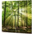 thumbnail image 3 of Cortina de balcón para decoración del hogar, cortina de ventana de moda, paisaje natural con estampado de luz solar en el bosque para la cocina de la sala de estar (150*166cm) Feliz Sencillez, 3 of 5