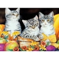thumbnail image 2 of Cuadros Decorativos 5D bricolaje completo taladro diamante pintura gato bordado mosaico Kits decoración (LD049) Ndcxsfigh Nuevos Originales, 2 of 8