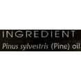 thumbnail image 4 of Body Wonders Pine 4 Oz Oli, 4 of 7