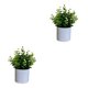 thumbnail image 1 of Bearachild 4 paquetes/lote fácil de limpiar planta falsa solución de bajo mantenimiento para plantas artificiales de interior bonsái de hojas Type1 NO1, 1 of 6