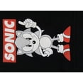 thumbnail image 4 of Sonic the Hedgehog Character and Logo Youth Black Hoodie - M, 4 of 4