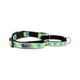 thumbnail image 1 of RC Pets 3/4 Inch Easy Clip Web Martingale Training Dog Collar, Small, Pineapple Parade, 1 of 2