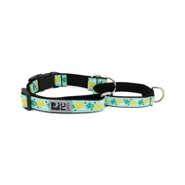RC Pets 3/4 Inch Easy Clip Web Martingale Training Dog Collar, Small, Pineapple Parade