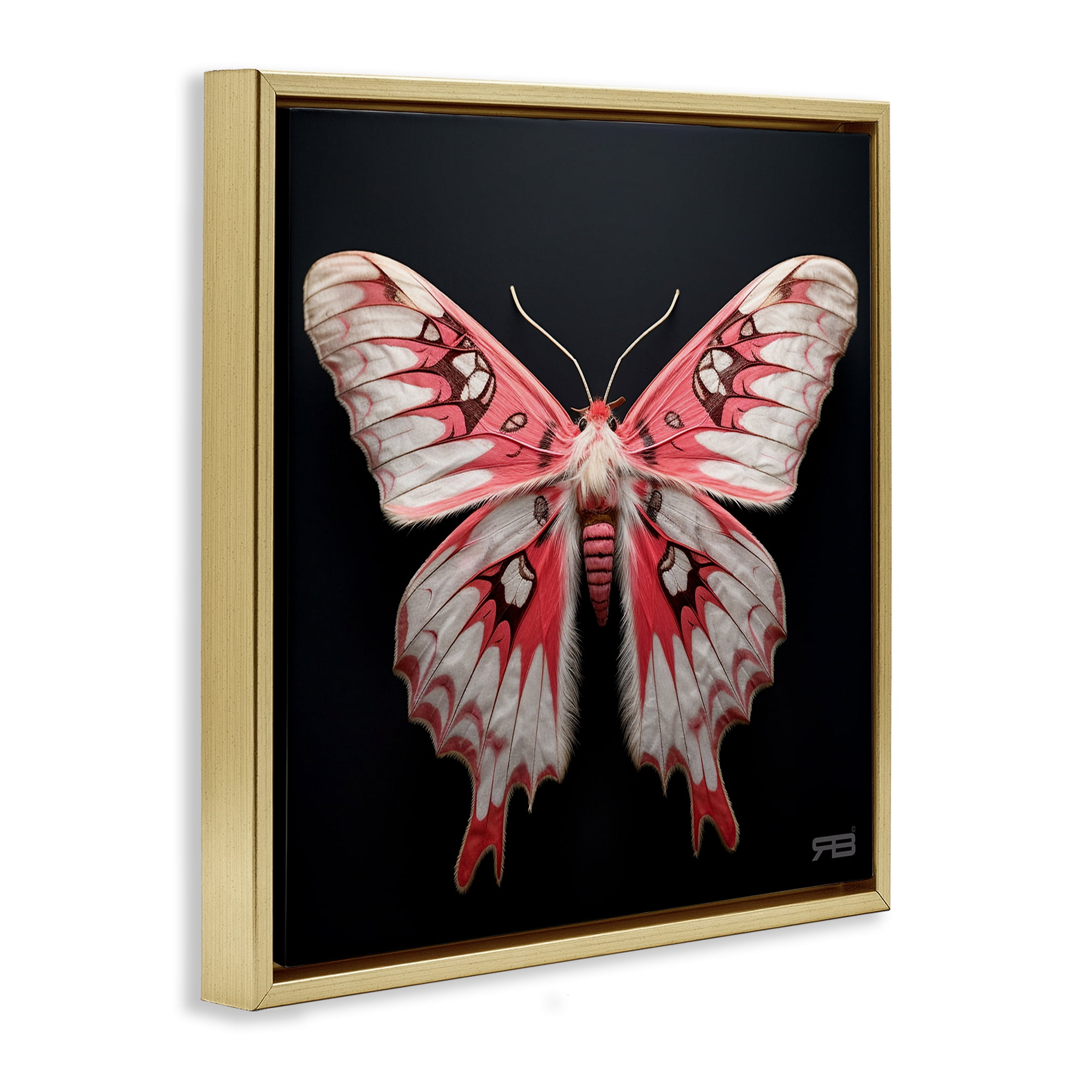 Stupell Industries Red & White Moth Animals & Insects Painting Gold Floater Framed Canvas Art Print Wall Art, 25 x 25