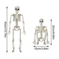 thumbnail image 3 of 6 Packs Posable Halloween Skeleton Decorations, 16" Full Body Plastic Skeleton with Movable Joints for Halloween Haunted House Props Spooky Scene Party Decorations, 3 of 7