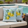 thumbnail image 5 of Outdoor Pillow Covers Watercolor Yellow Lemon Leaves Waterproof Pillow Cases 20x20 Set of 2, Summer Fruit on Light Blue Throw Pillow Cover Pillowcase for Patio Balcony Couch Garden, 5 of 9