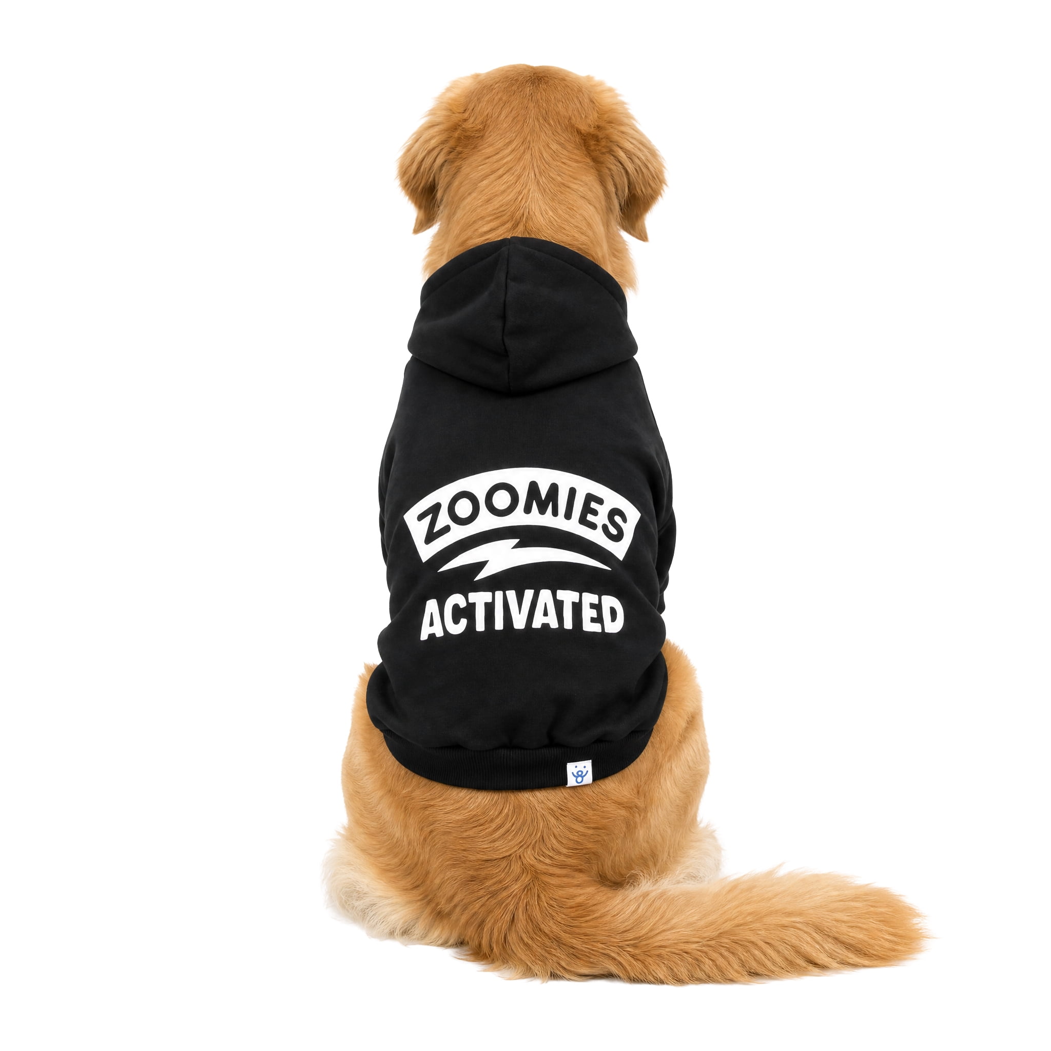 Oodles Zoomies Activated Fall Dog Hoodie, Black, XL