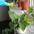 thumbnail image 2 of Mini Cute Beach Cartoon Watering Can Multi-purpose Toy Early Educational Toy Children's Toy, 2 of 5