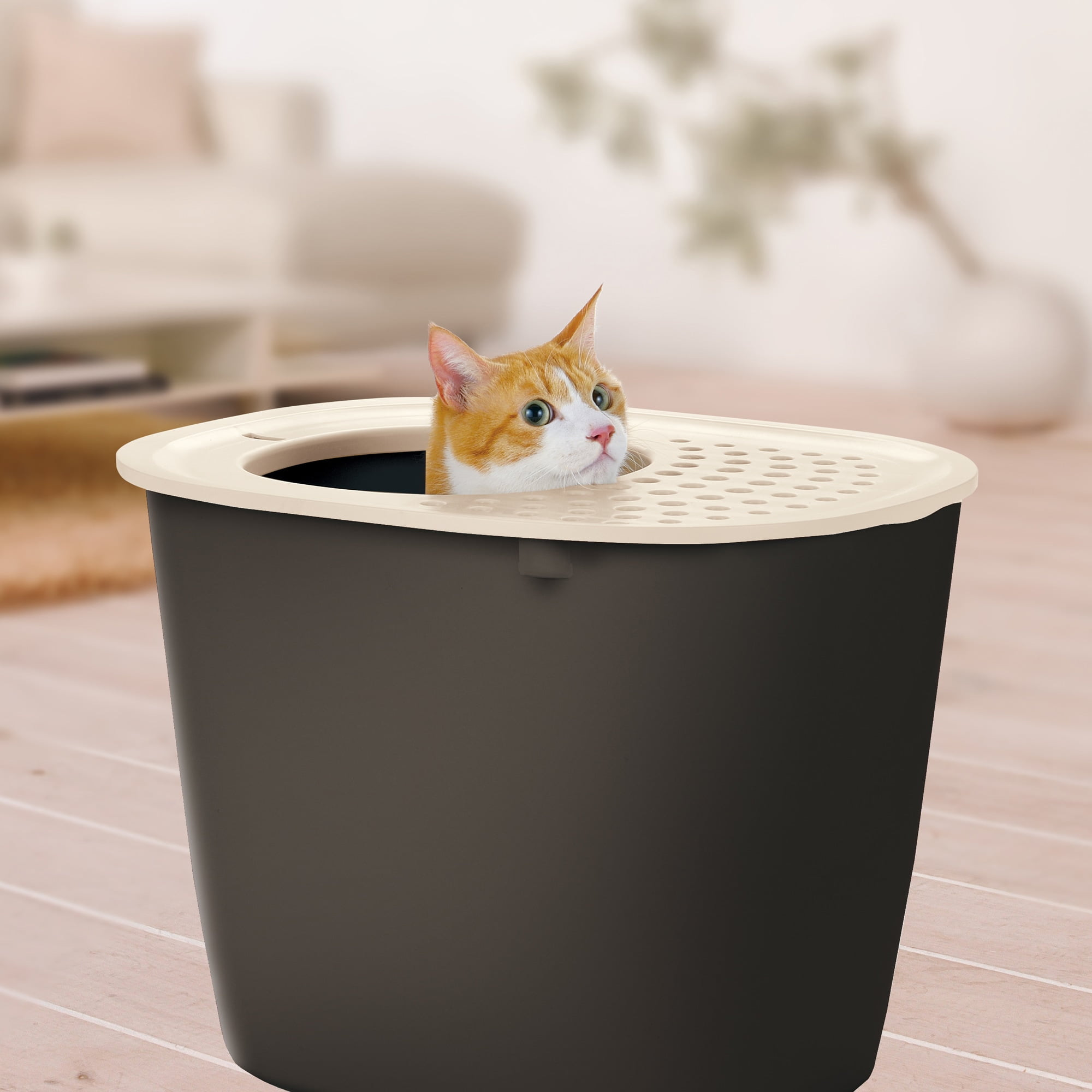 Moderna top entry litter box cheap