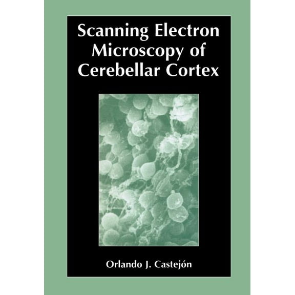 Scanning Electron Microscopy of Cerebellar Cortex, (Paperback)