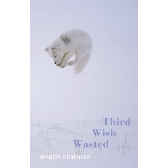 Pre-Owned Third Wish Wasted (Paperback) 1852248289 9781852248284