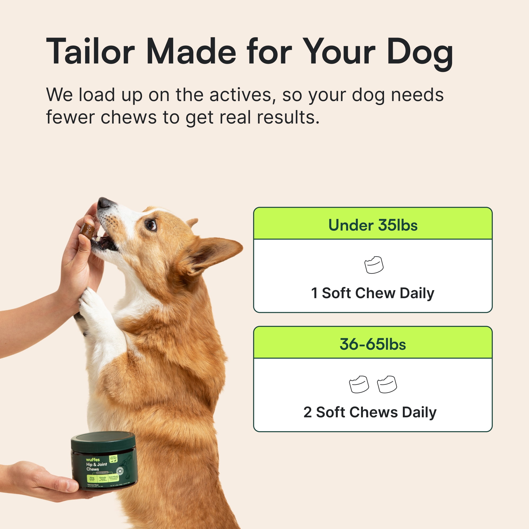 Advanced Dog Hip and Joint Supplement with Glucosamine, Chondroitin, Omega 3, MSM, and Green Lipped Mussel, 60 Pork Flavored Chews for Small and Medium Dog Breeds