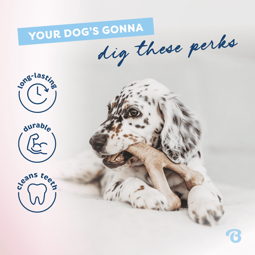 Benebone Puppy 4-Pack Dog Chew Toys, 30lbs and Under, for Modest Chewers, All Breed Sizes
