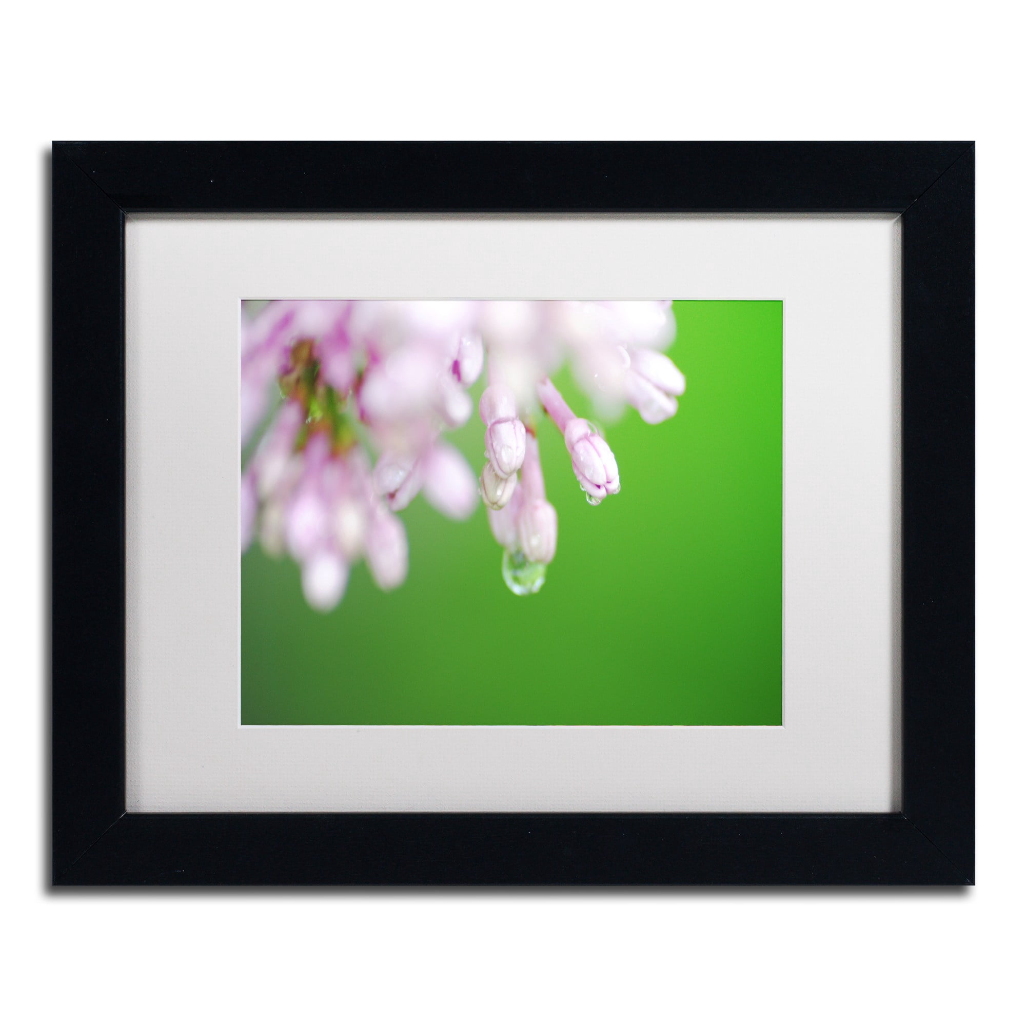 Trademark Fine Art "Pure" Canvas Art by Monica Mize, White Matte, Black Frame