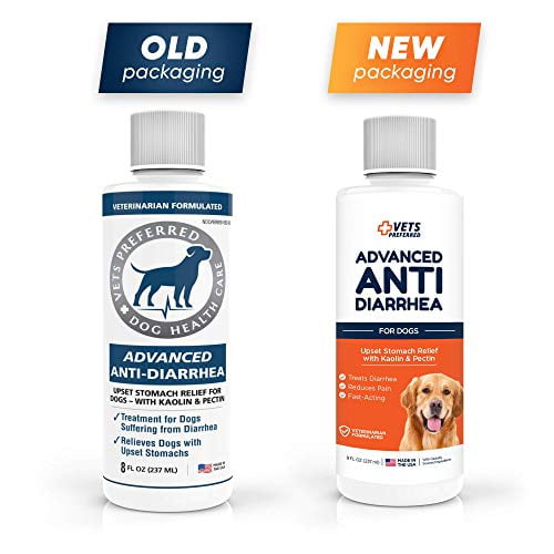 What Antibiotics Treat Diarrhea In Dogs