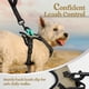 thumbnail image 5 of Arnés para perros Rabbitgoo, ajustable, acolchado suave, sin tirones, XS, 5 of 7