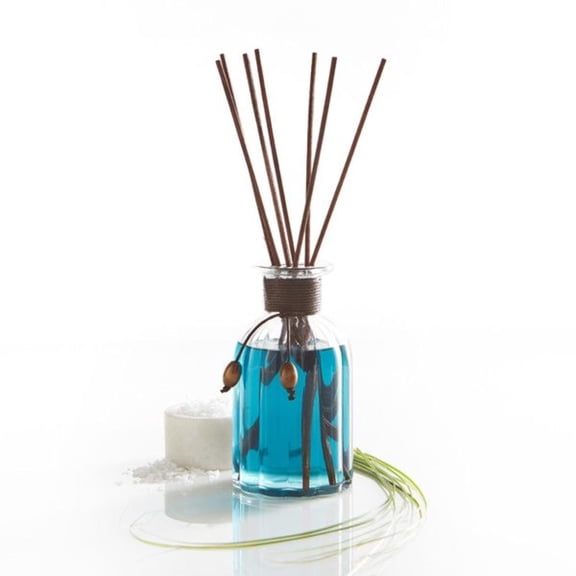 Pier 1 Imports Reed Diffuser with Reed Sticks in a ( 10 oz. ) Premium Glass Container - Oceans